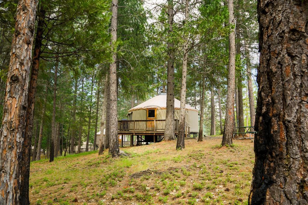 Harden Flat Yosemite Lakes Hillside Yurt 1 מראה חיצוני תמונה