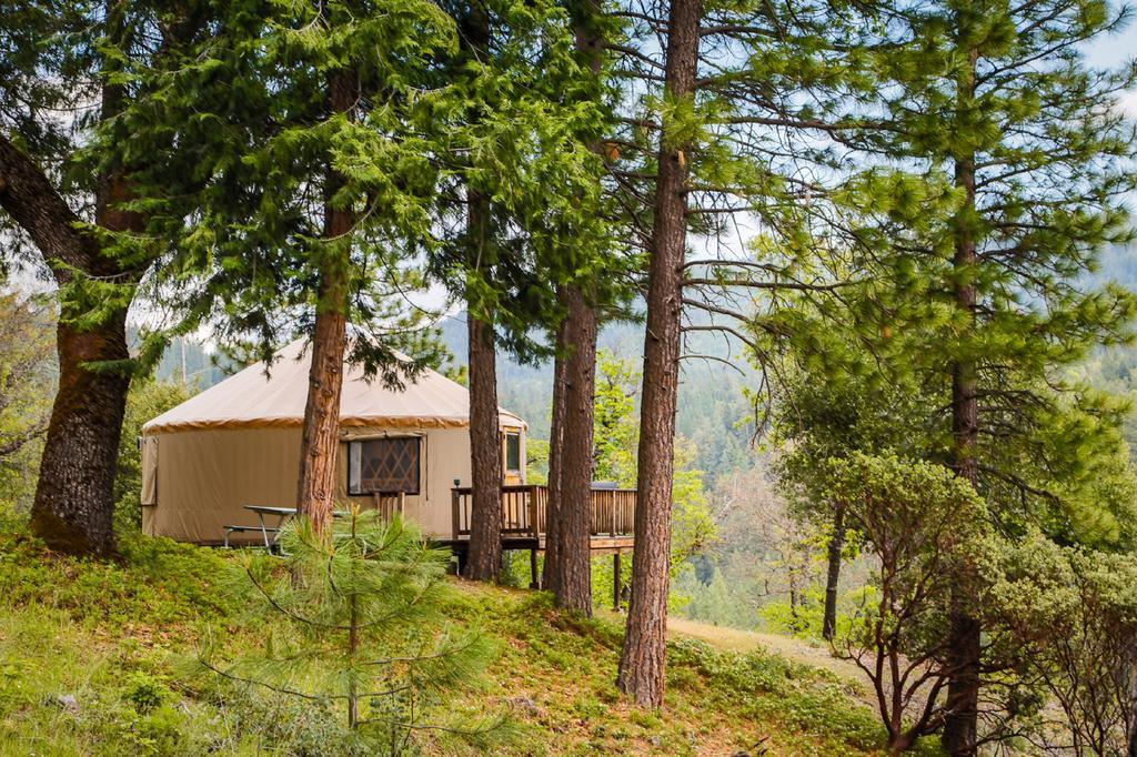 Harden Flat Yosemite Lakes Hillside Yurt 1 מראה חיצוני תמונה