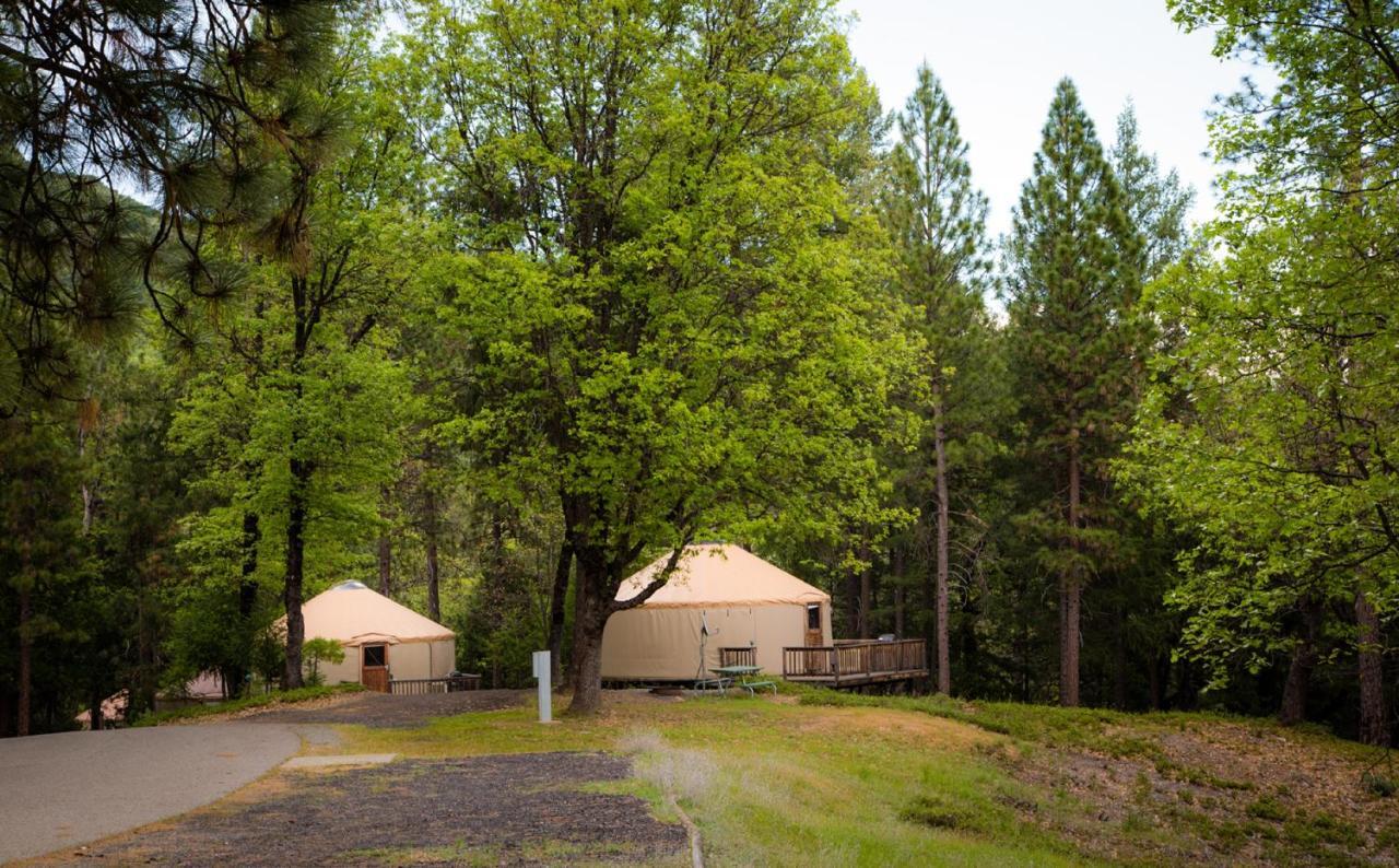 Harden Flat Yosemite Lakes Hillside Yurt 1 מראה חיצוני תמונה